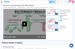 OSMOSIS PREMIUM 6 MESES