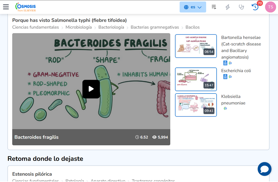 OSMOSIS PREMIUM 6 MESES