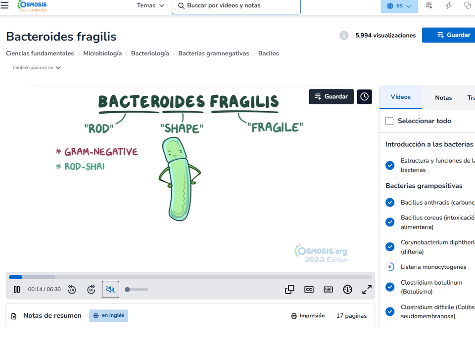 OSMOSIS PREMIUM 6 MESES